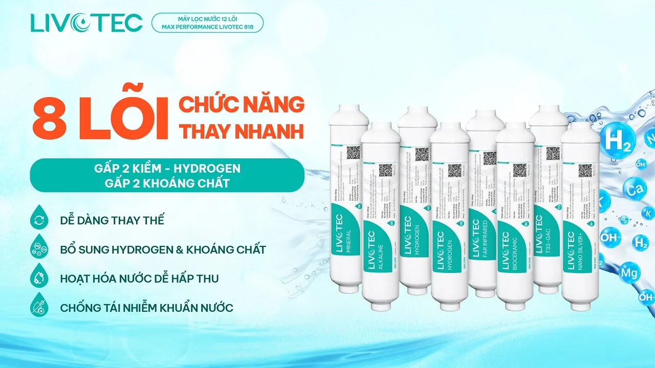 Máy lọc nước Livotec 818 
